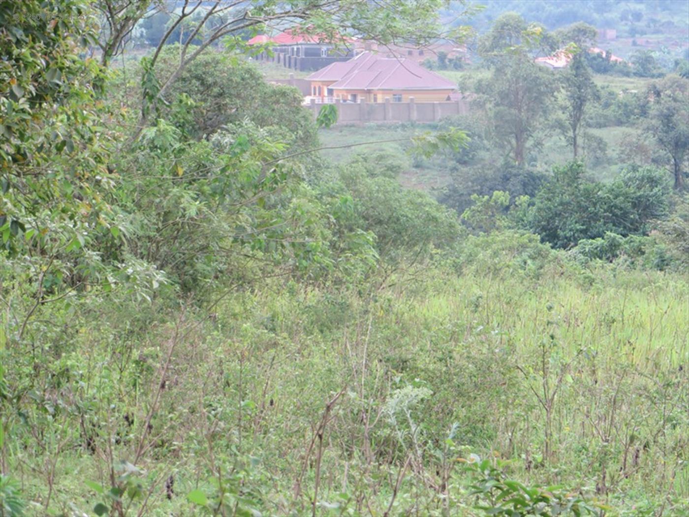 Agricultural Land for sale in Kyetume Luweero