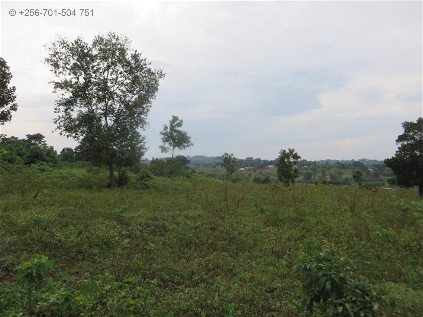 Residential Land for sale in Naalya Kampala