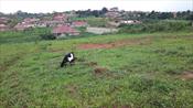 Residential Land for sale in Nabusugwe Kampala