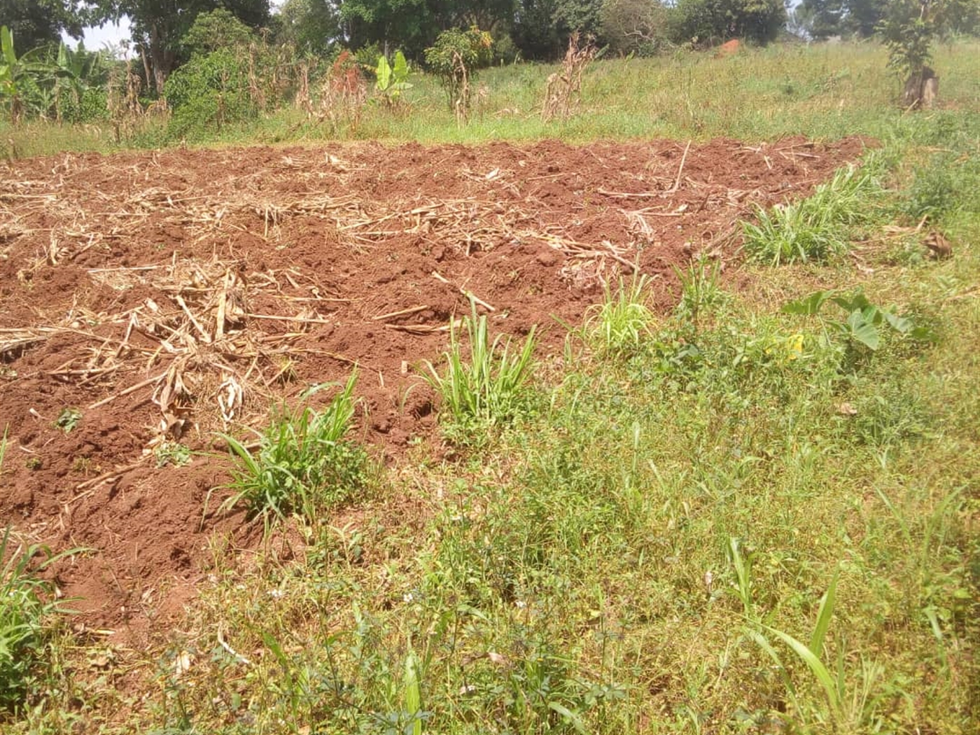 Residential Land for sale in Gayaza Wakiso