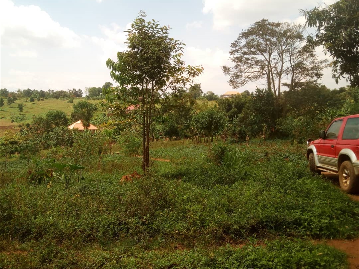 Residential Land for sale in Gayaza Wakiso