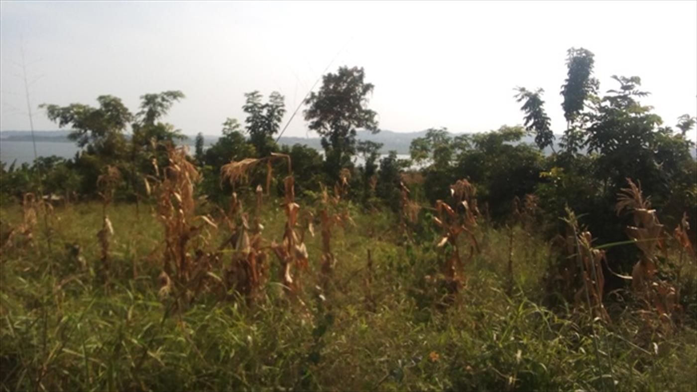 Multipurpose Land for sale in Kigo Wakiso