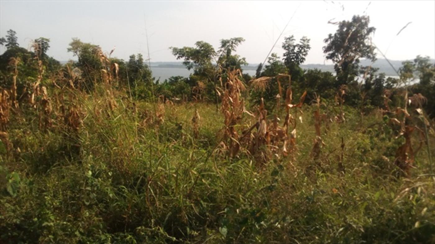 Multipurpose Land for sale in Kigo Wakiso