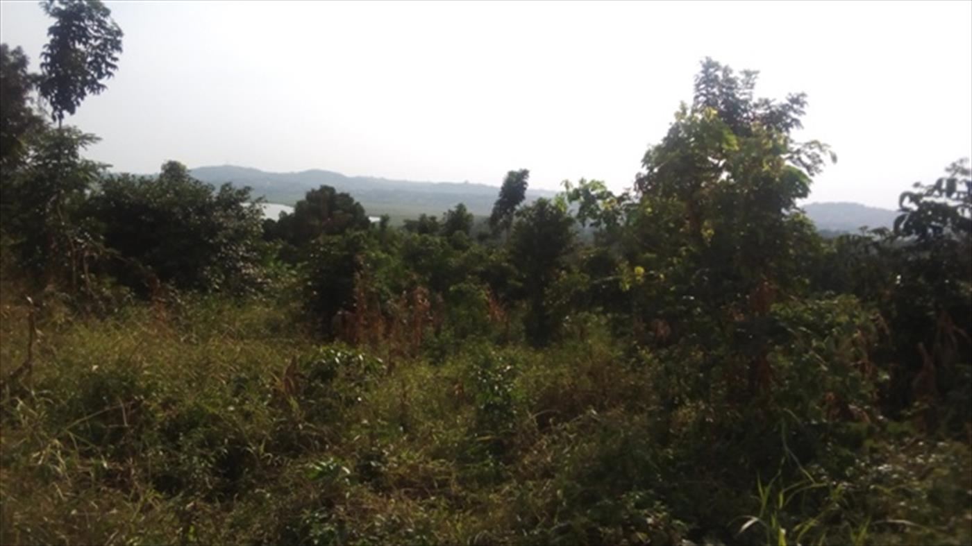 Multipurpose Land for sale in Kigo Wakiso