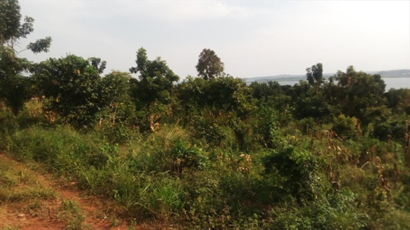 Multipurpose Land for sale in Kigo Wakiso