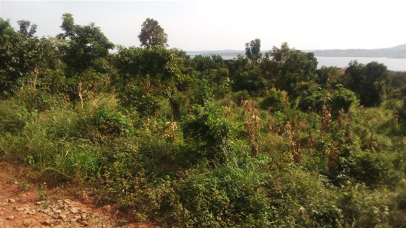 Multipurpose Land for sale in Kigo Wakiso