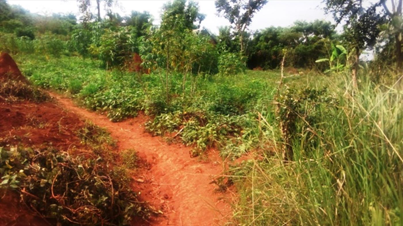 Multipurpose Land for sale in Kanaaba Wakiso