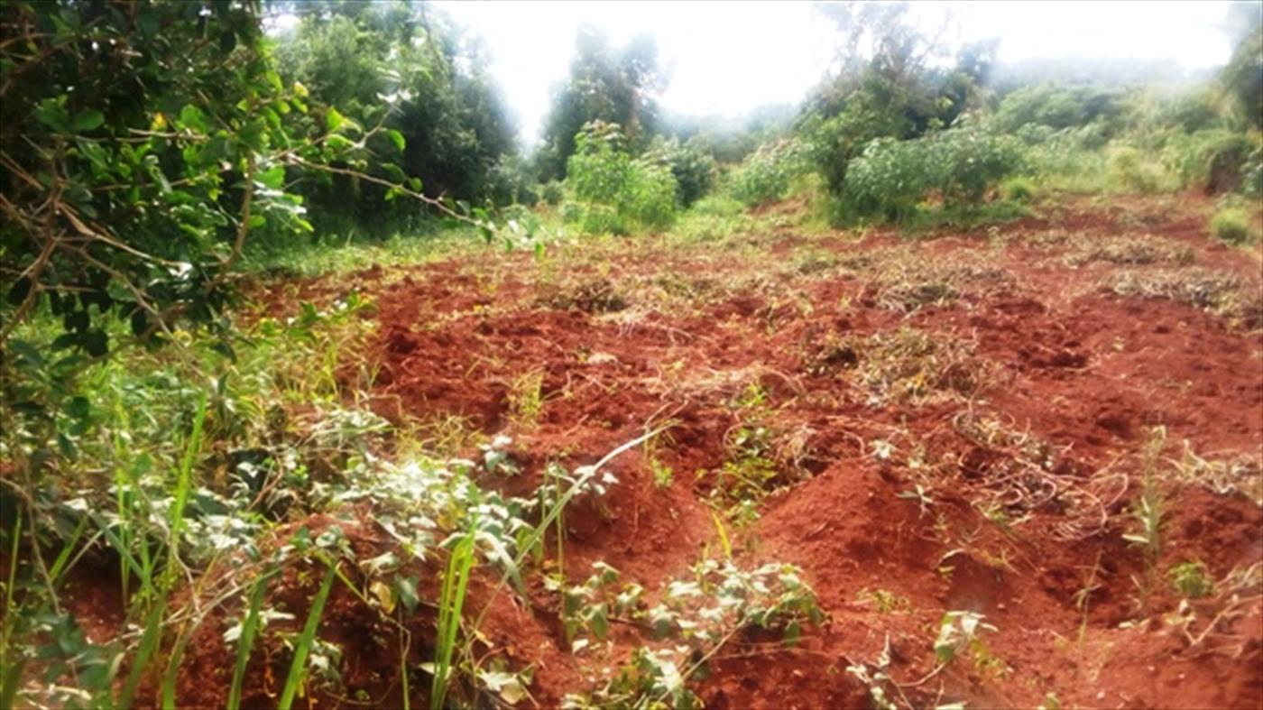 Multipurpose Land for sale in Kanaaba Wakiso