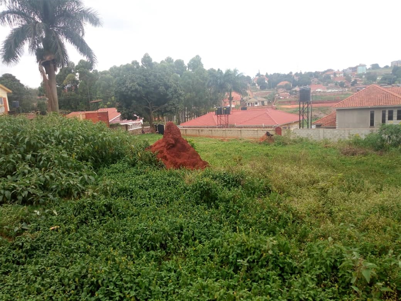 Residential Land for sale in Ntinda Kampala