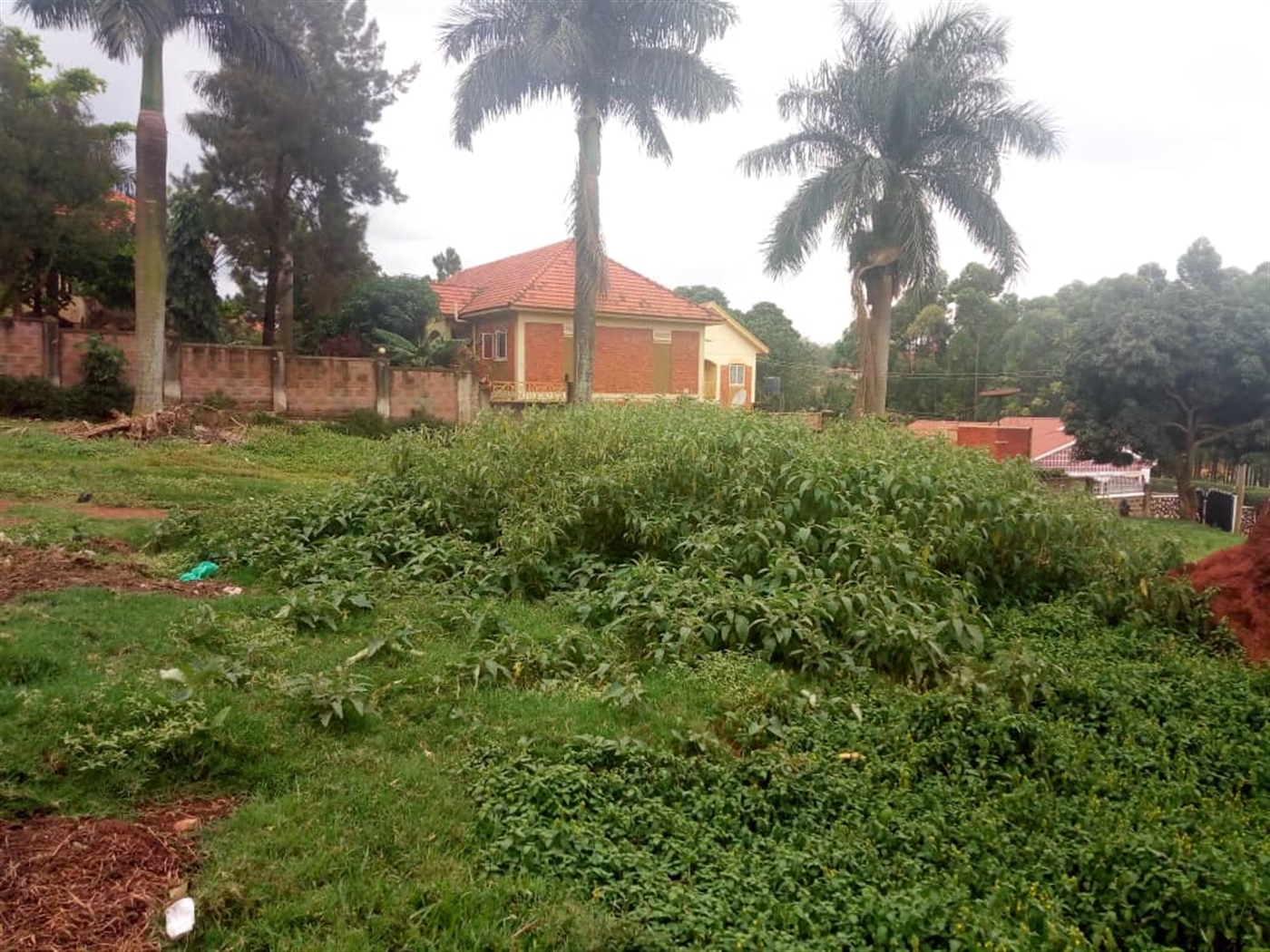 Residential Land for sale in Ntinda Kampala