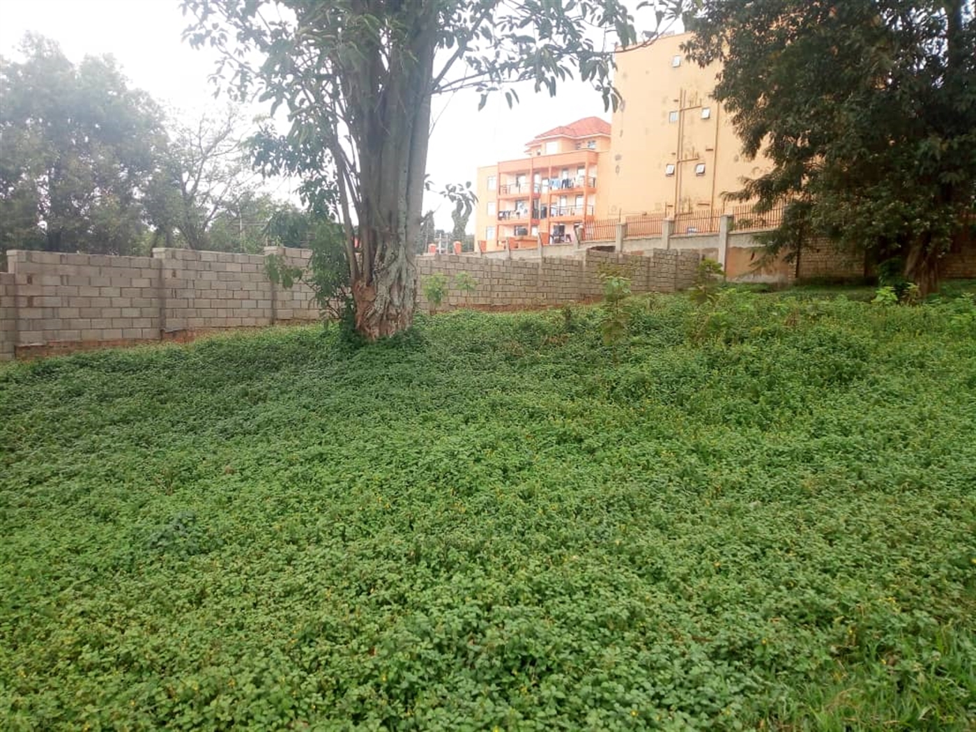 Residential Land for sale in Ntinda Kampala