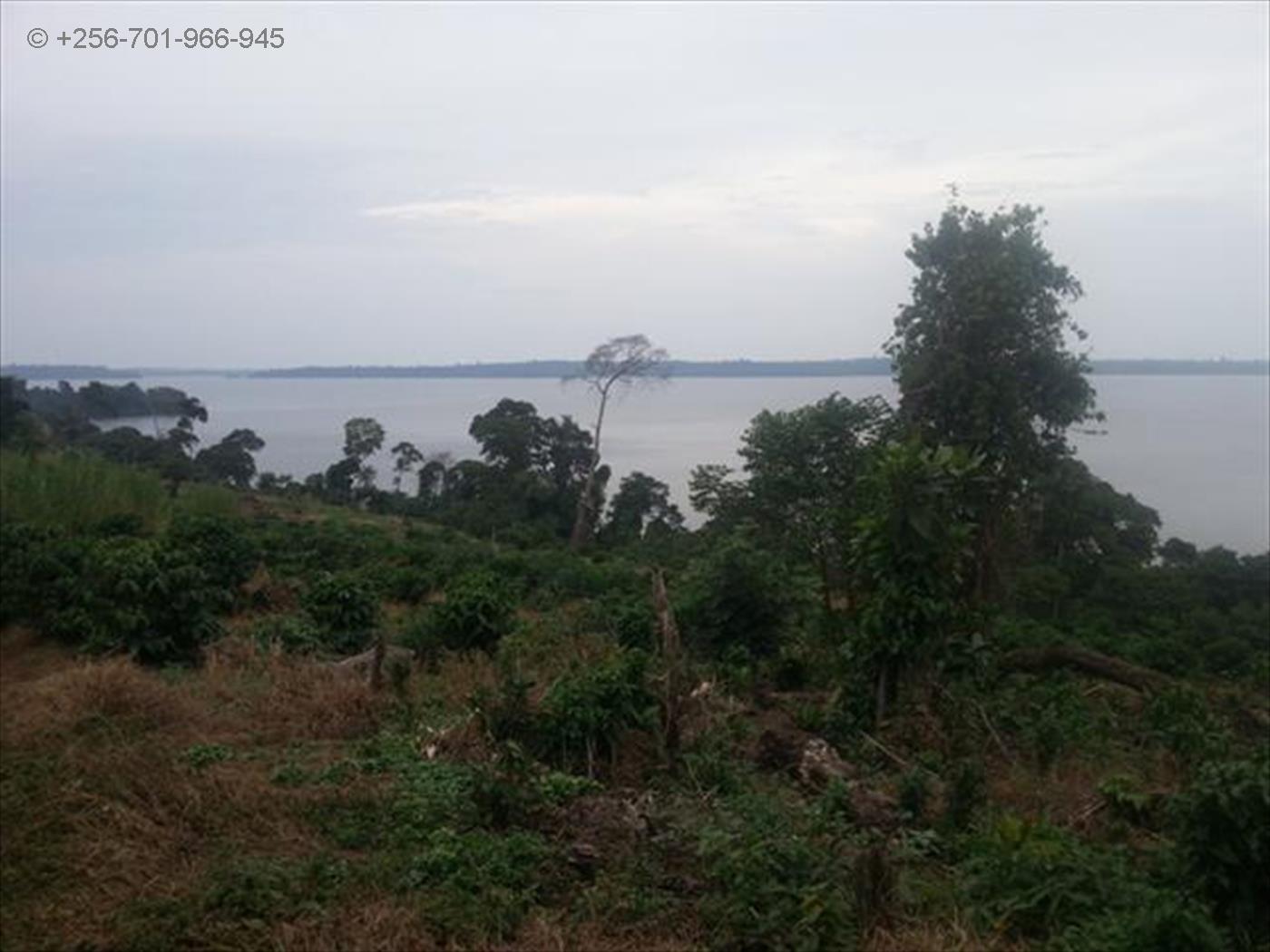 Multipurpose Land for sale in Kalangalacenter Kalangala