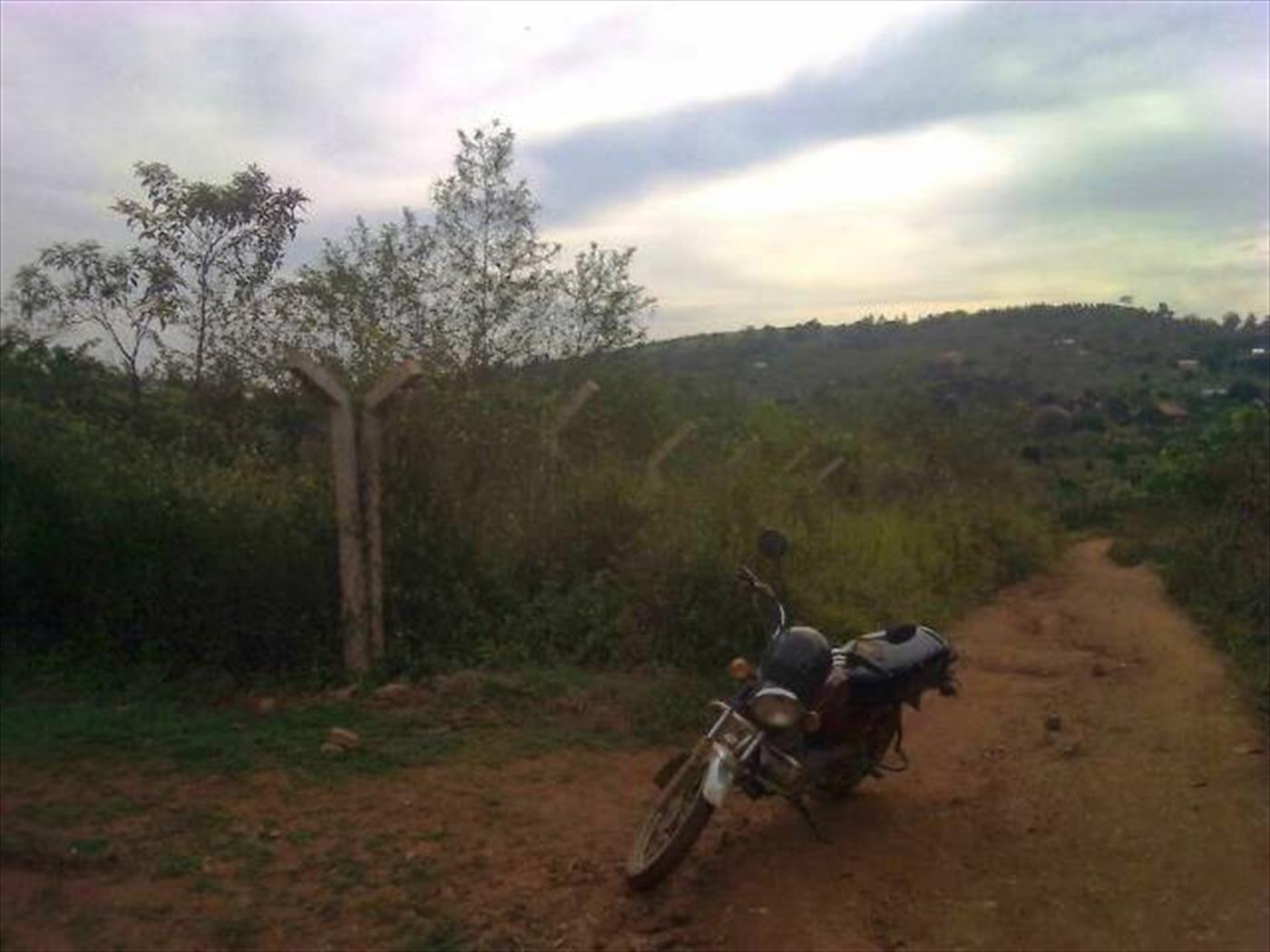 Agricultural Land for sale in Maaya Wakiso