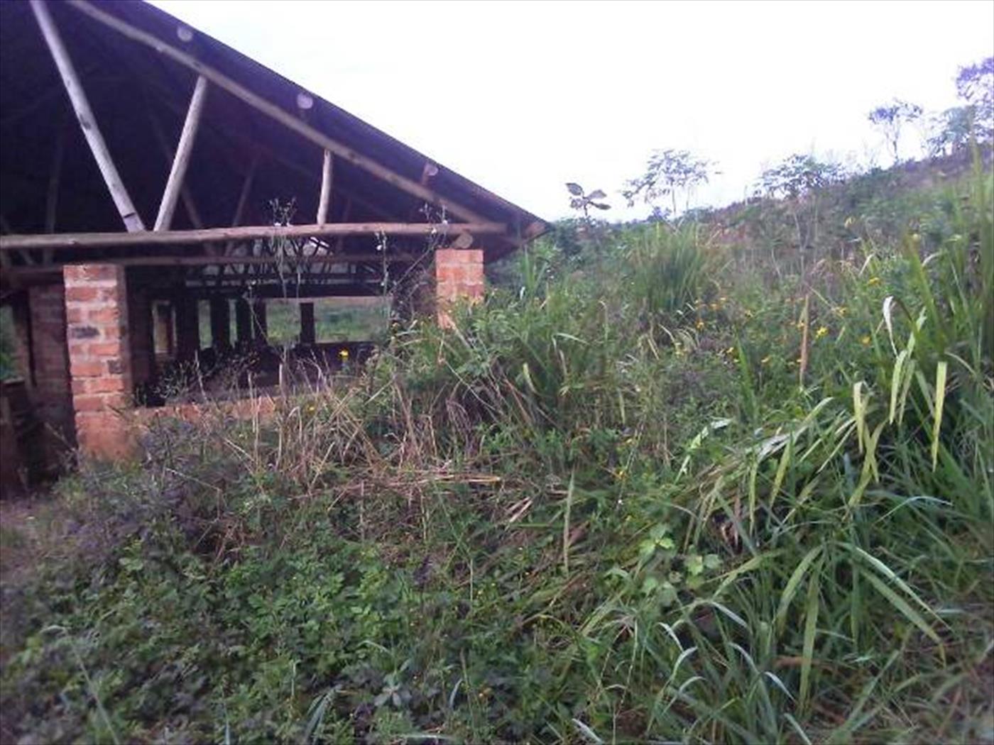 Agricultural Land for sale in Maaya Wakiso