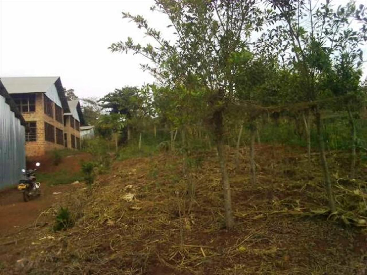 Agricultural Land for sale in Maaya Wakiso
