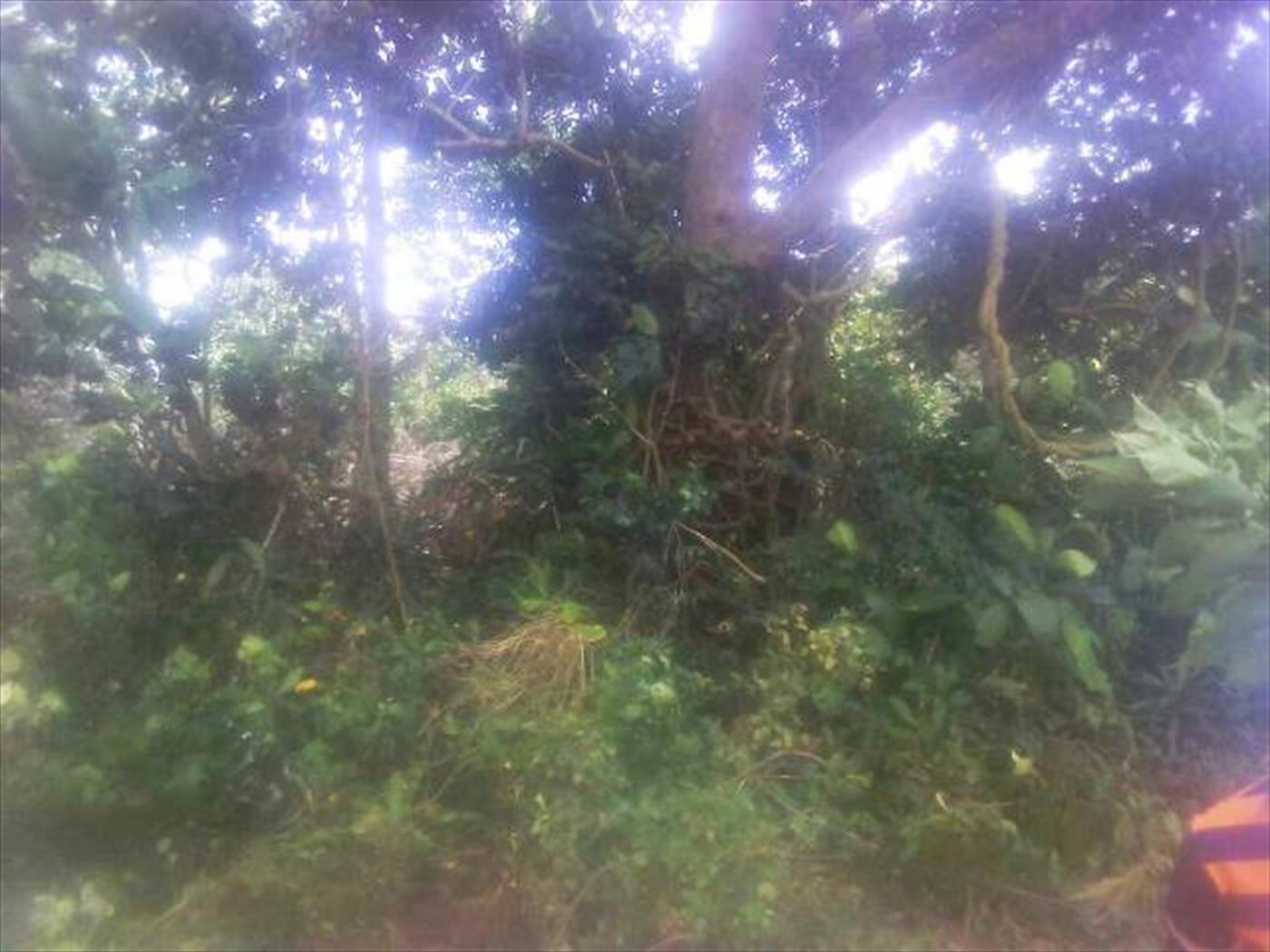 Multipurpose Land for sale in Bugala Kalangala