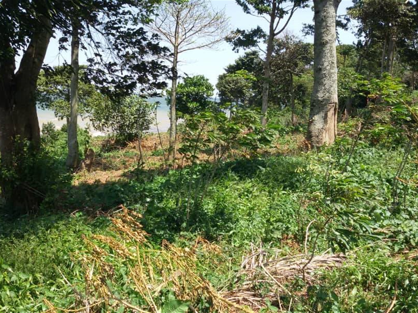 Recreational Land for sale in Nkumba Wakiso