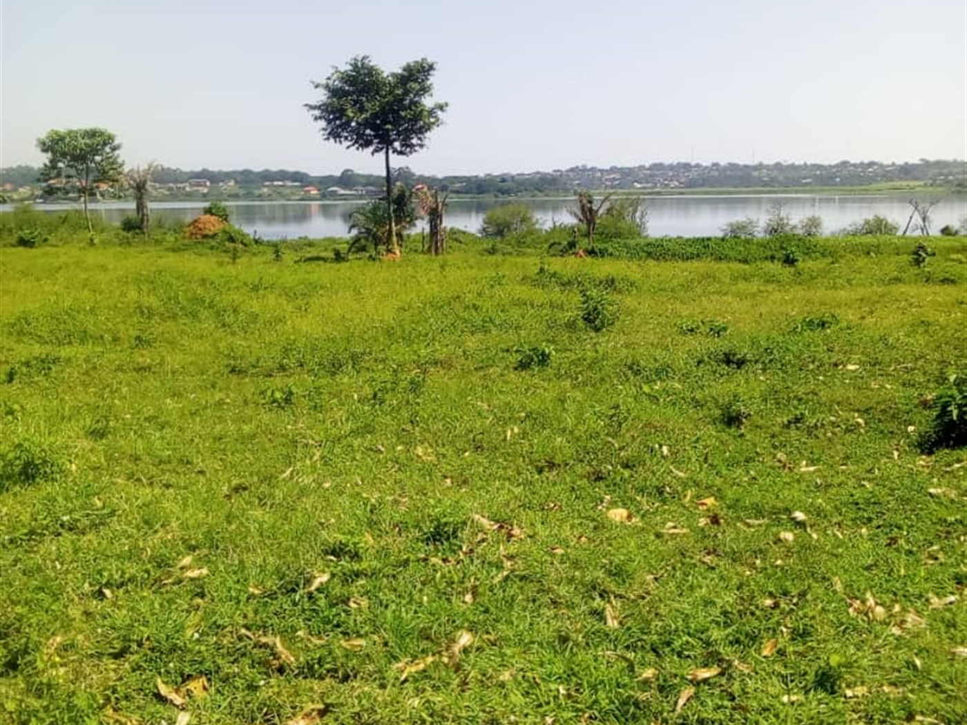 Multipurpose Land for sale in Kasenyi Wakiso