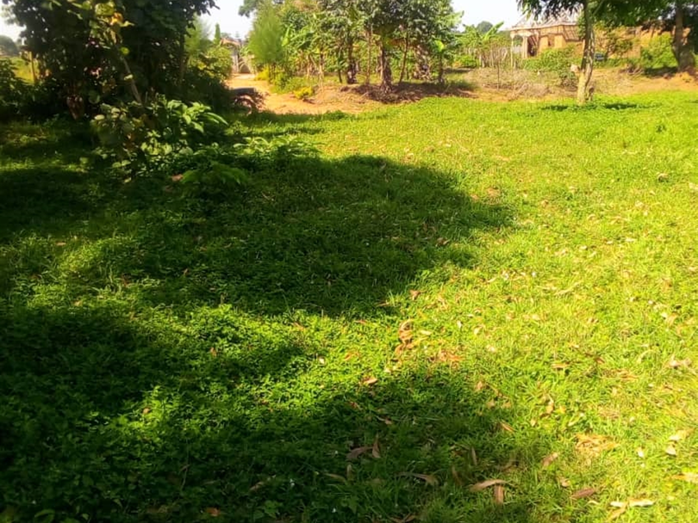 Multipurpose Land for sale in Kasenyi Wakiso