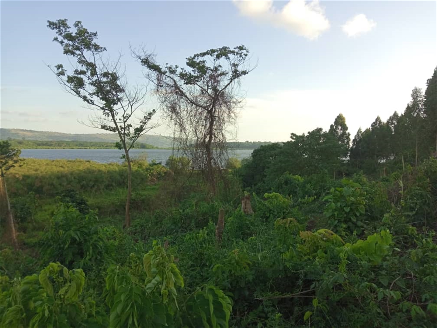 Multipurpose Land for sale in Mukono Wakiso