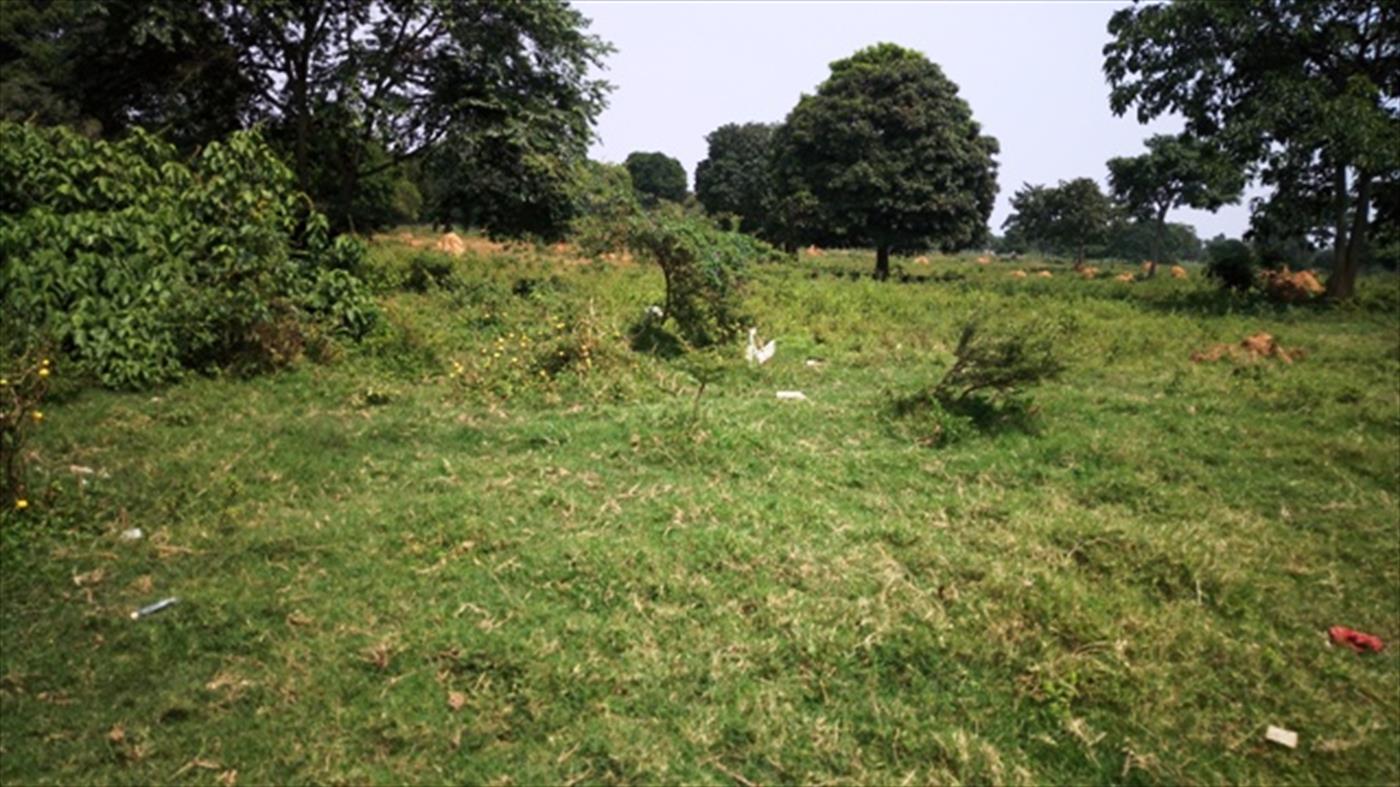 Multipurpose Land for sale in Garuga Wakiso