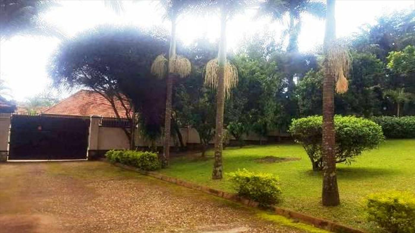 Mansion for rent in Naguru Wakiso