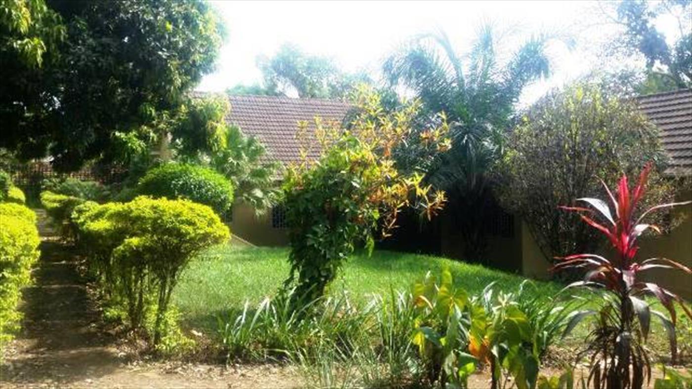 Mansion for rent in Naguru Wakiso