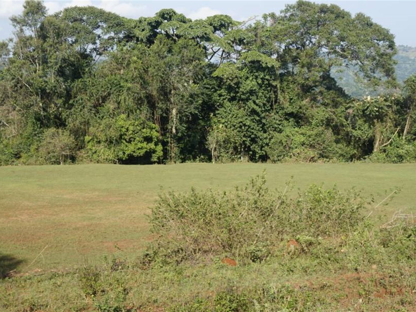 Multipurpose Land for sale in Nkokonjeru Mukono