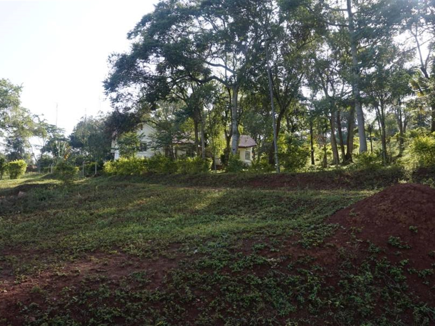 Multipurpose Land for sale in Nkokonjeru Mukono