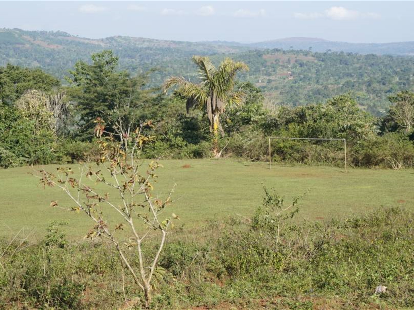 Multipurpose Land for sale in Nkokonjeru Mukono