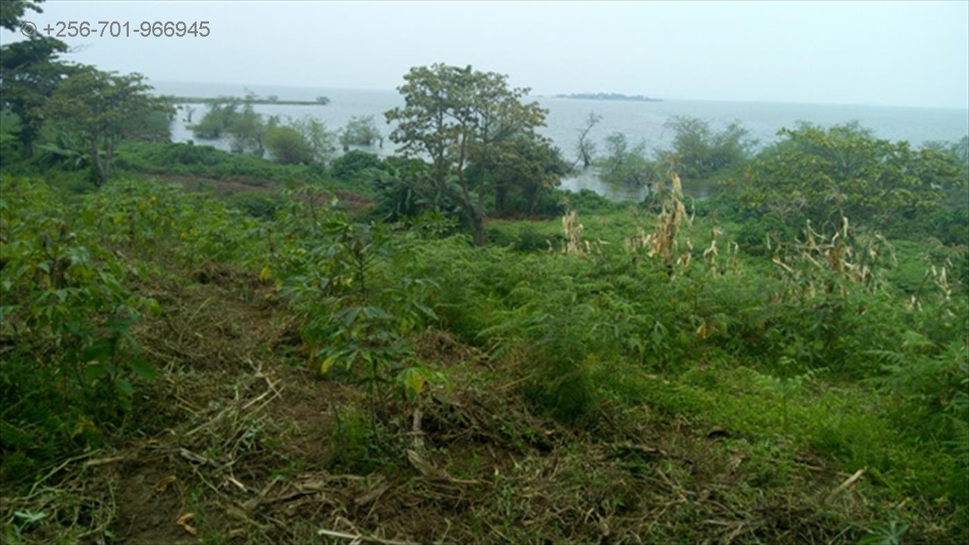 Commercial Land for sale in Garuga Wakiso