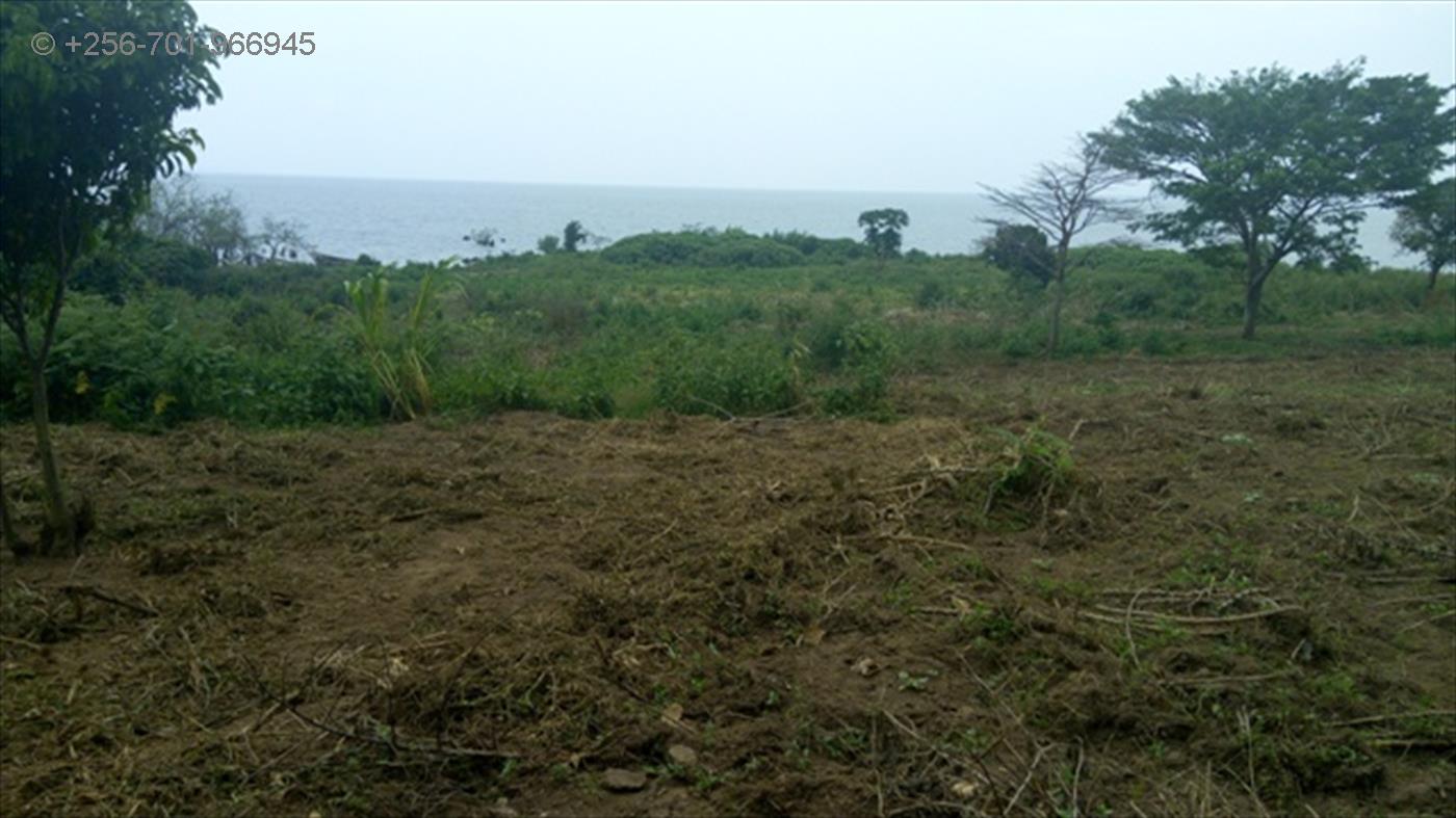 Commercial Land for sale in Garuga Wakiso