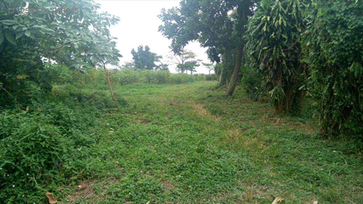 Commercial Land for sale in Garuga Wakiso