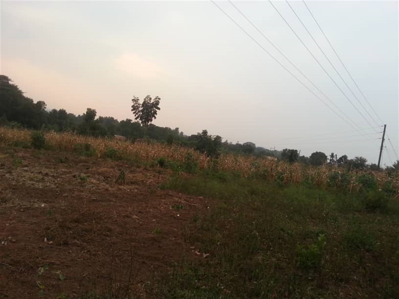 Multipurpose Land for sale in Namugongo Wakiso