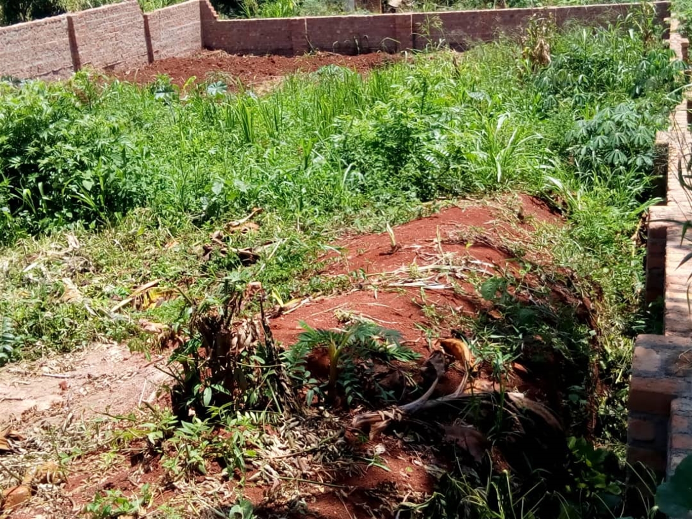 Commercial Land for sale in Bwebajja Wakiso