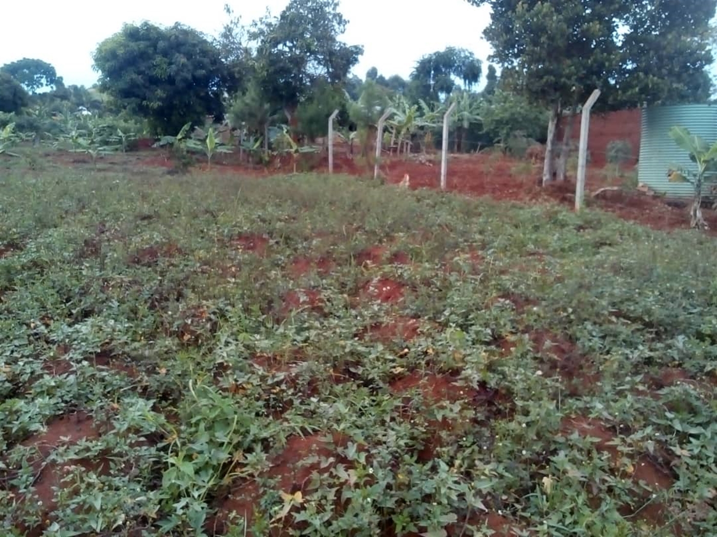 Multipurpose Land for sale in Ssisa Wakiso