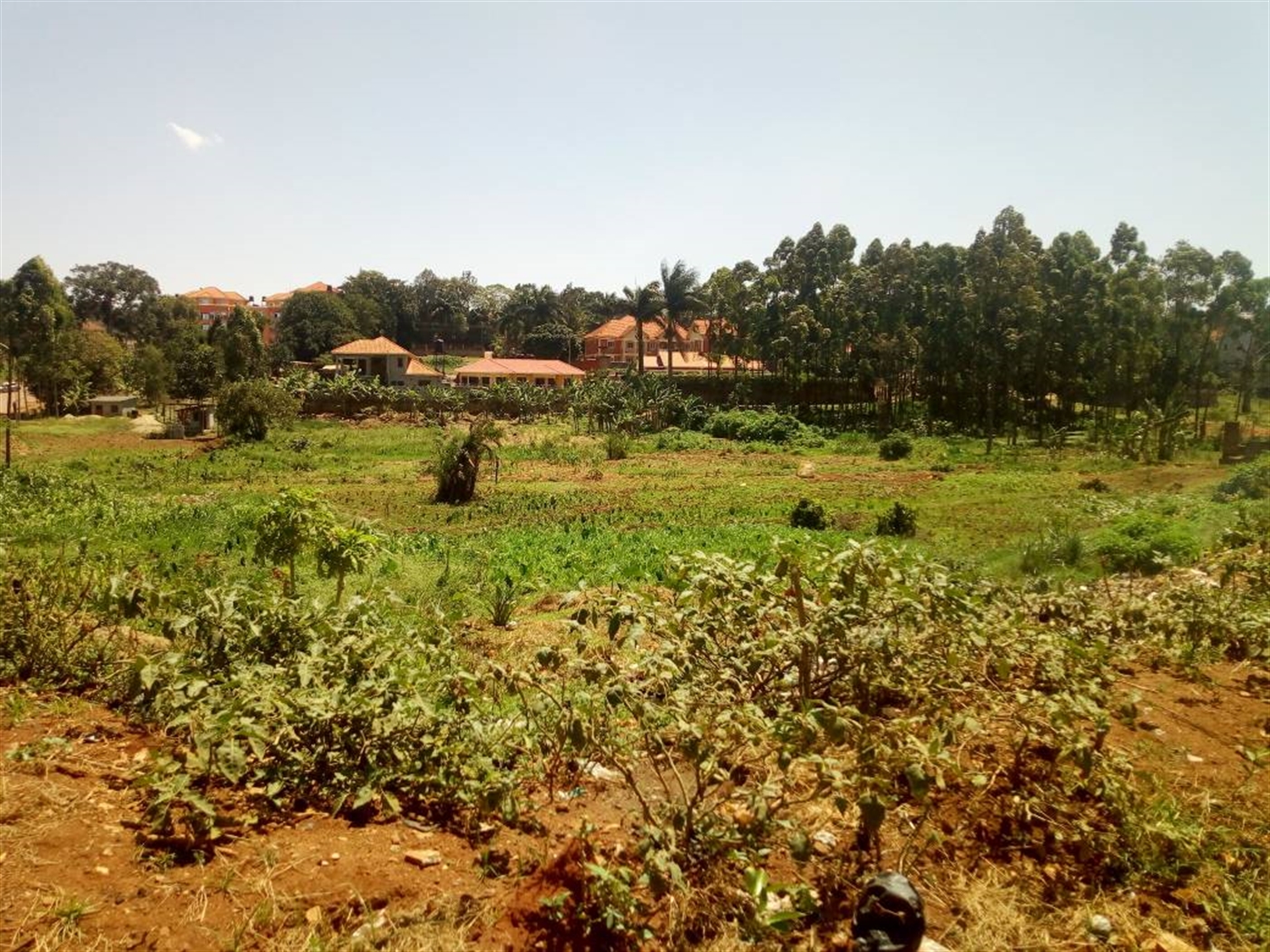 Commercial Land for sale in Ntinda Kampala