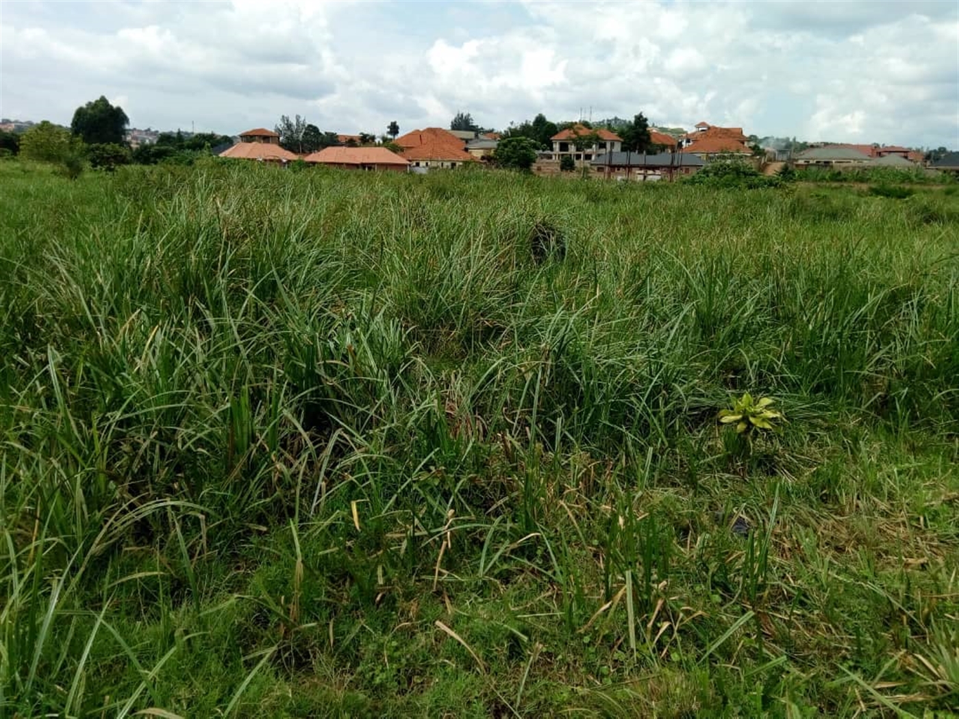 Residential Land for sale in Kisaasi Kampala