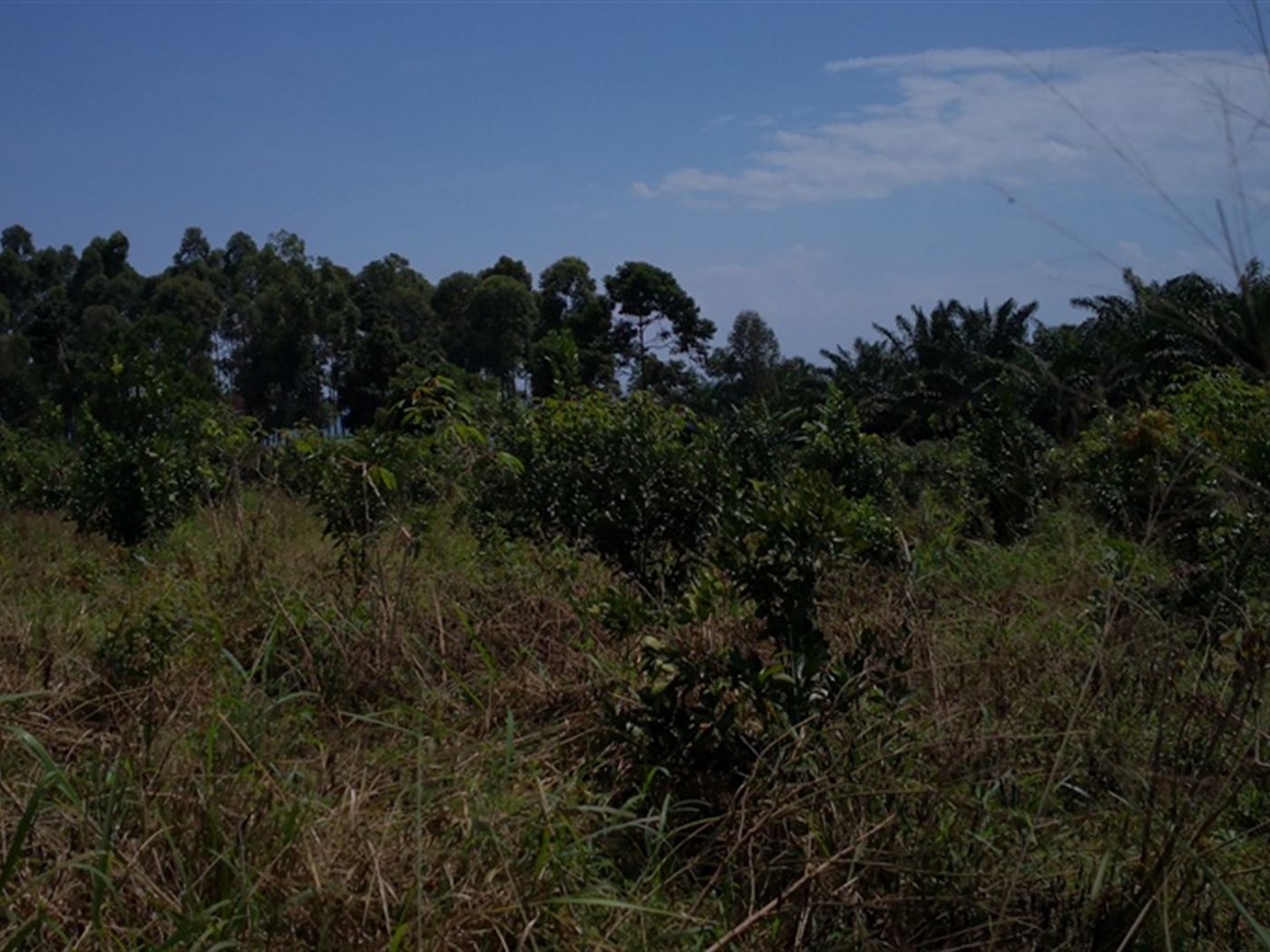 Multipurpose Land for sale in Bugala Kalangala