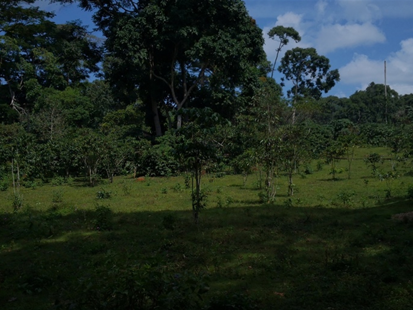 Multipurpose Land for sale in Bugala Kalangala