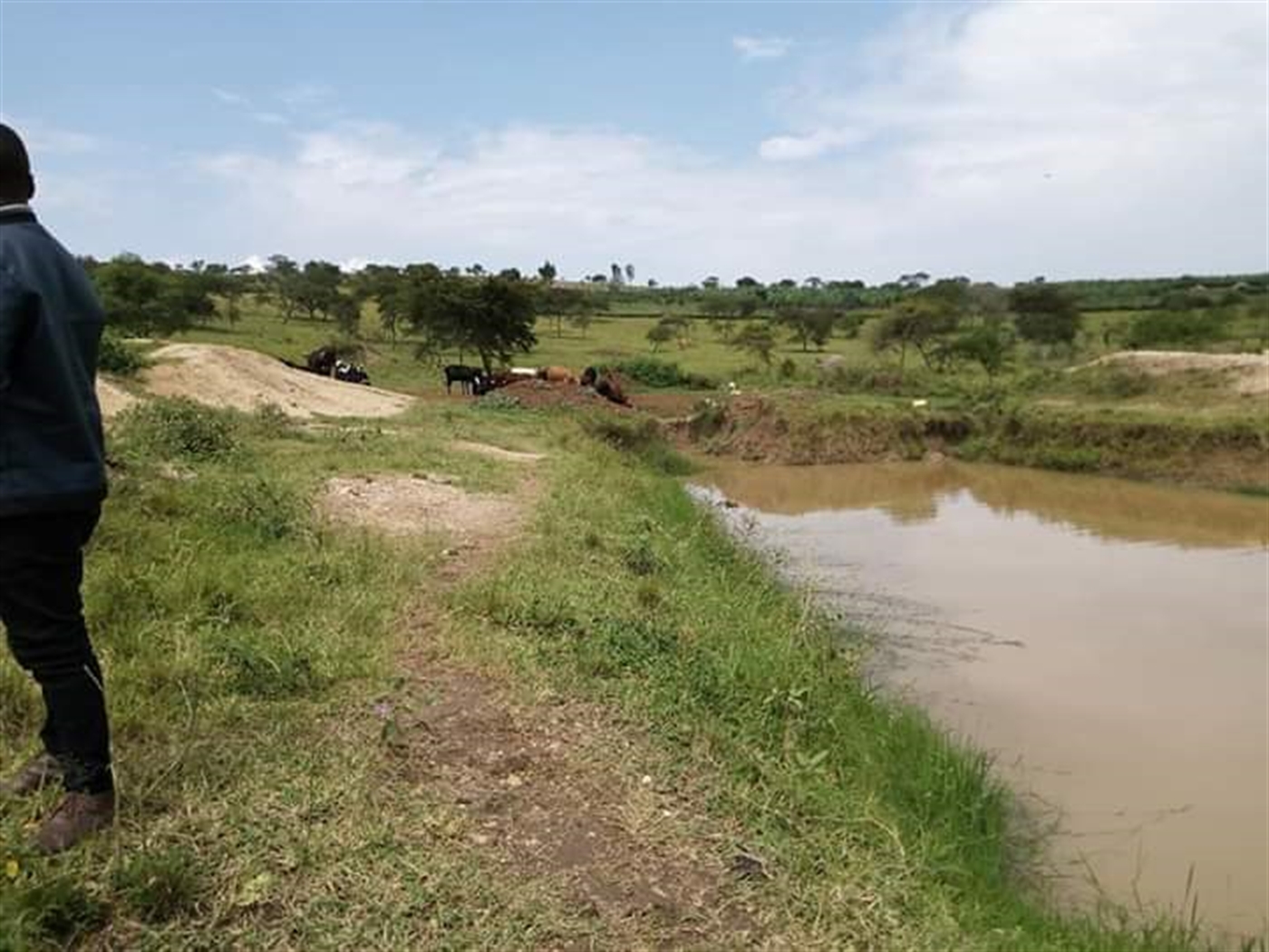 Agricultural Land for sale in Kiruhura Kiruhura