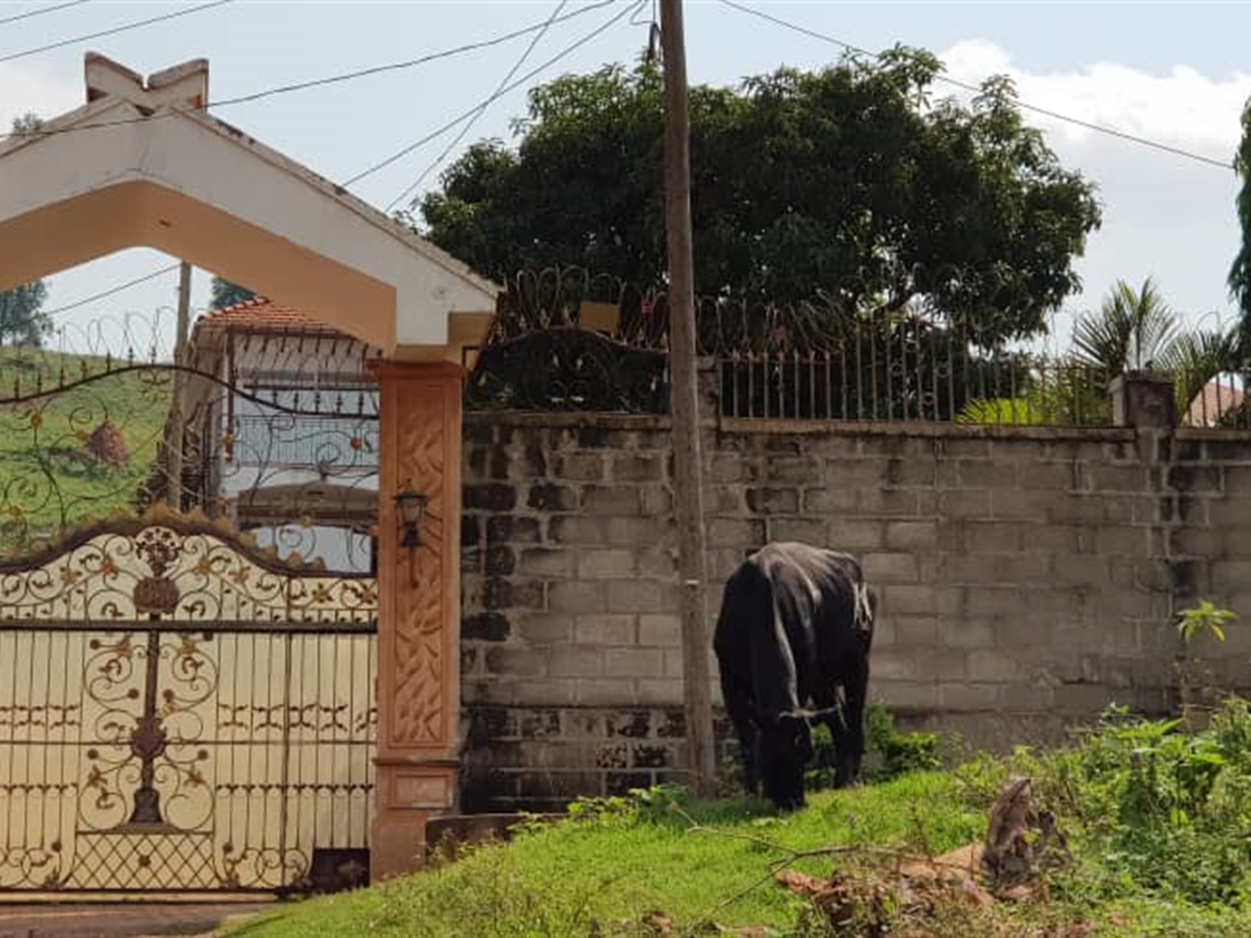 Mansion for sale in Namasuba Wakiso