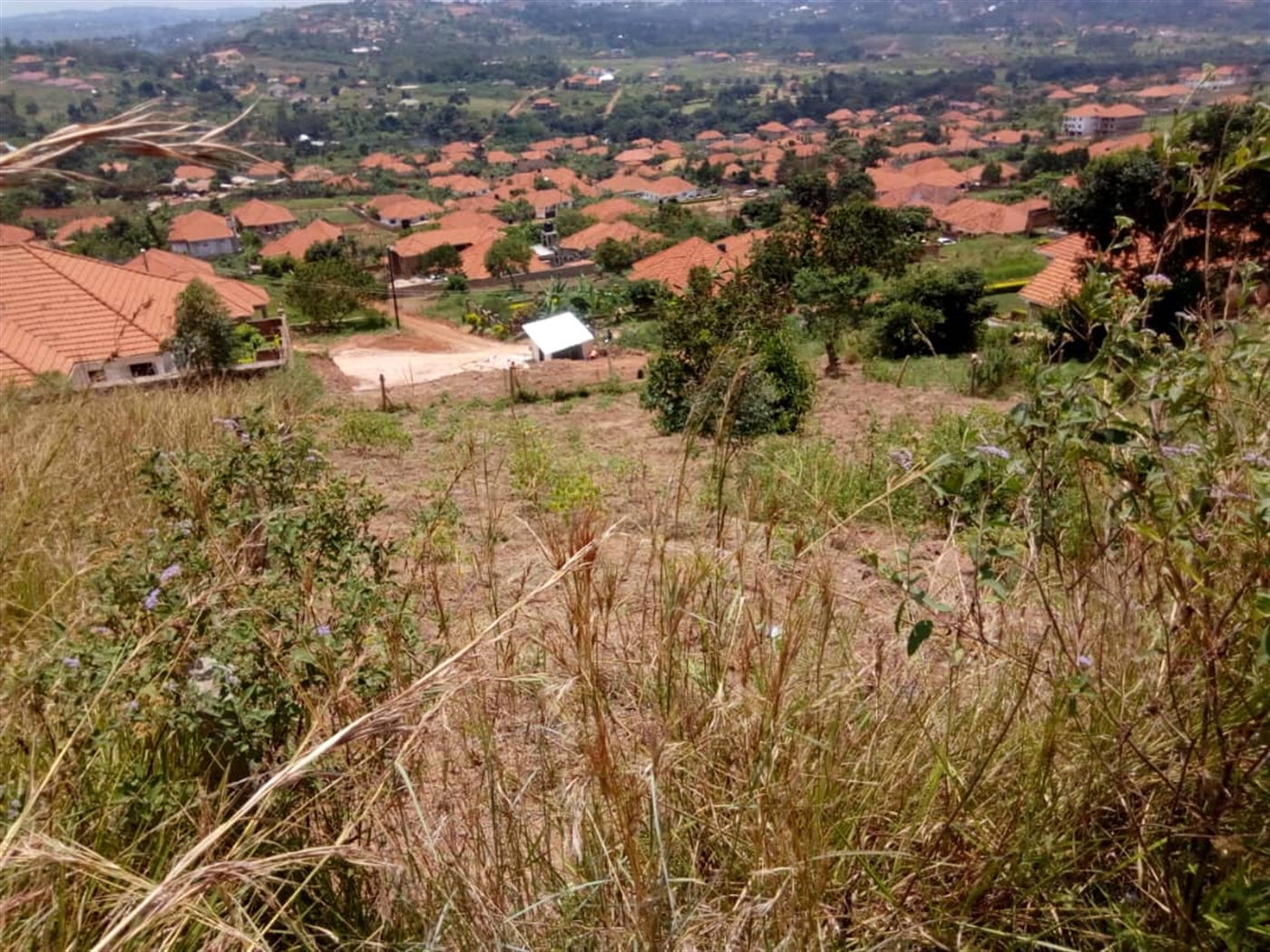 Industrial Land for sale in Bwebajja Wakiso