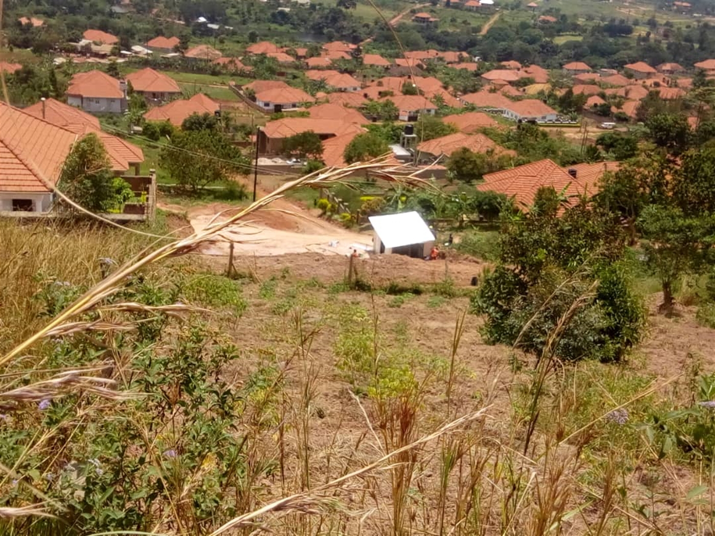 Industrial Land for sale in Bwebajja Wakiso