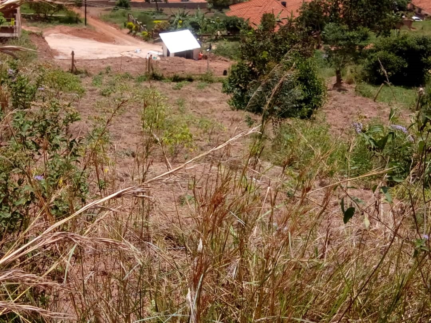 Industrial Land for sale in Bwebajja Wakiso