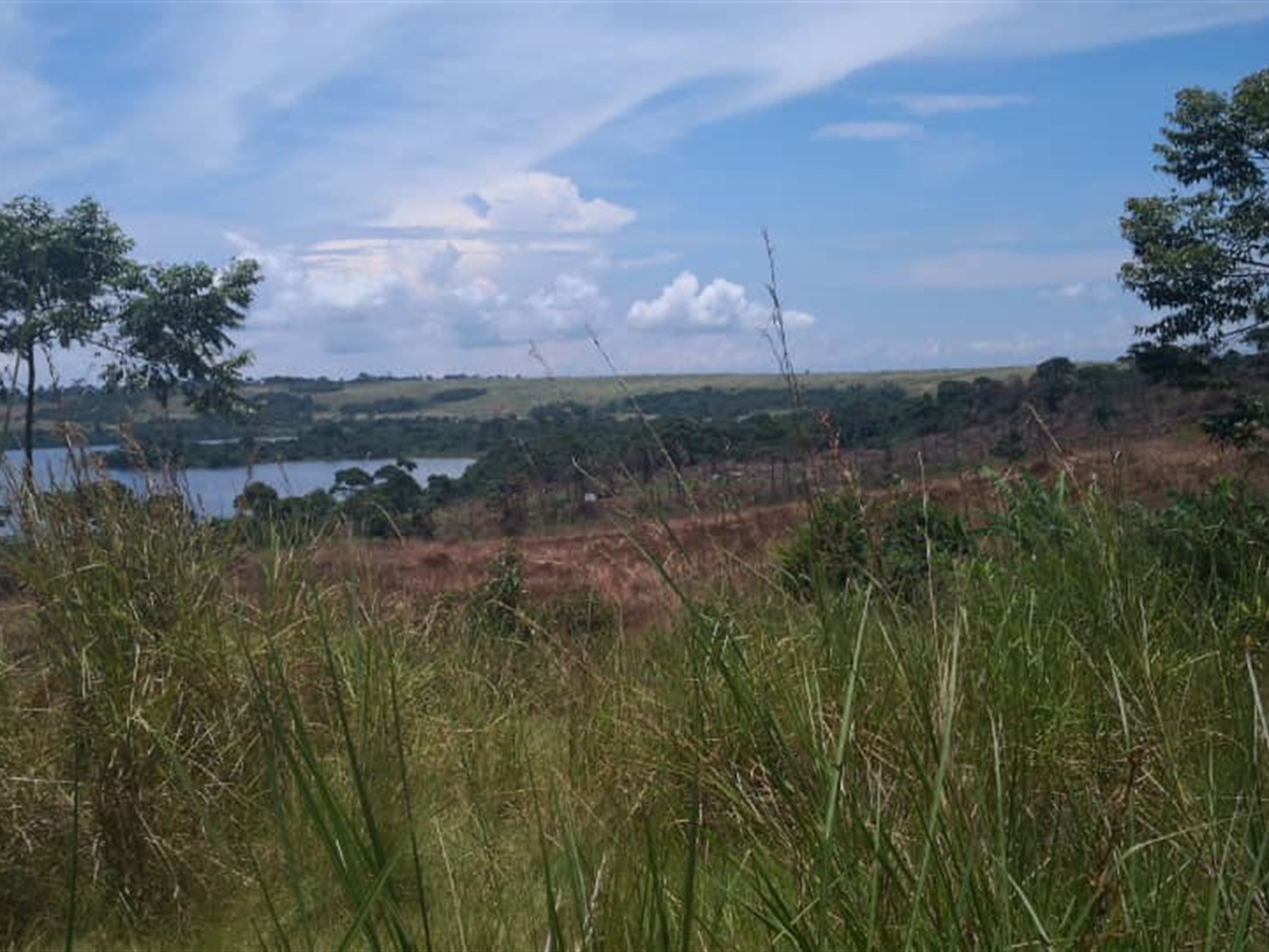 Recreational Land for sale in Kalangalacenter Kalangala