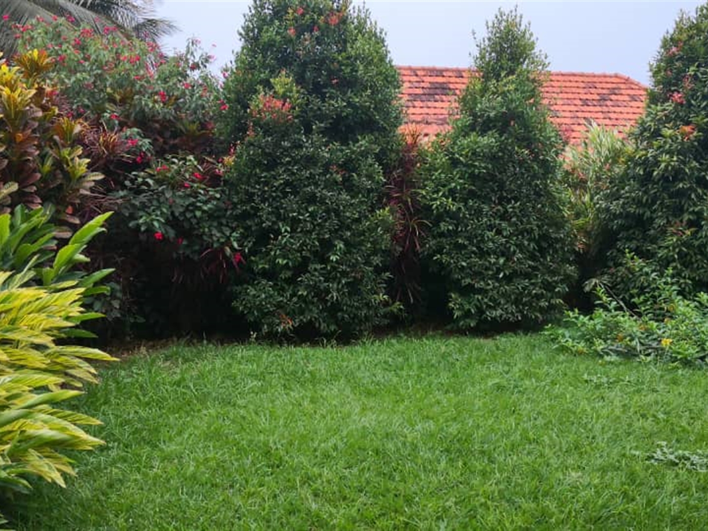 Bungalow for sale in Lungujja Wakiso