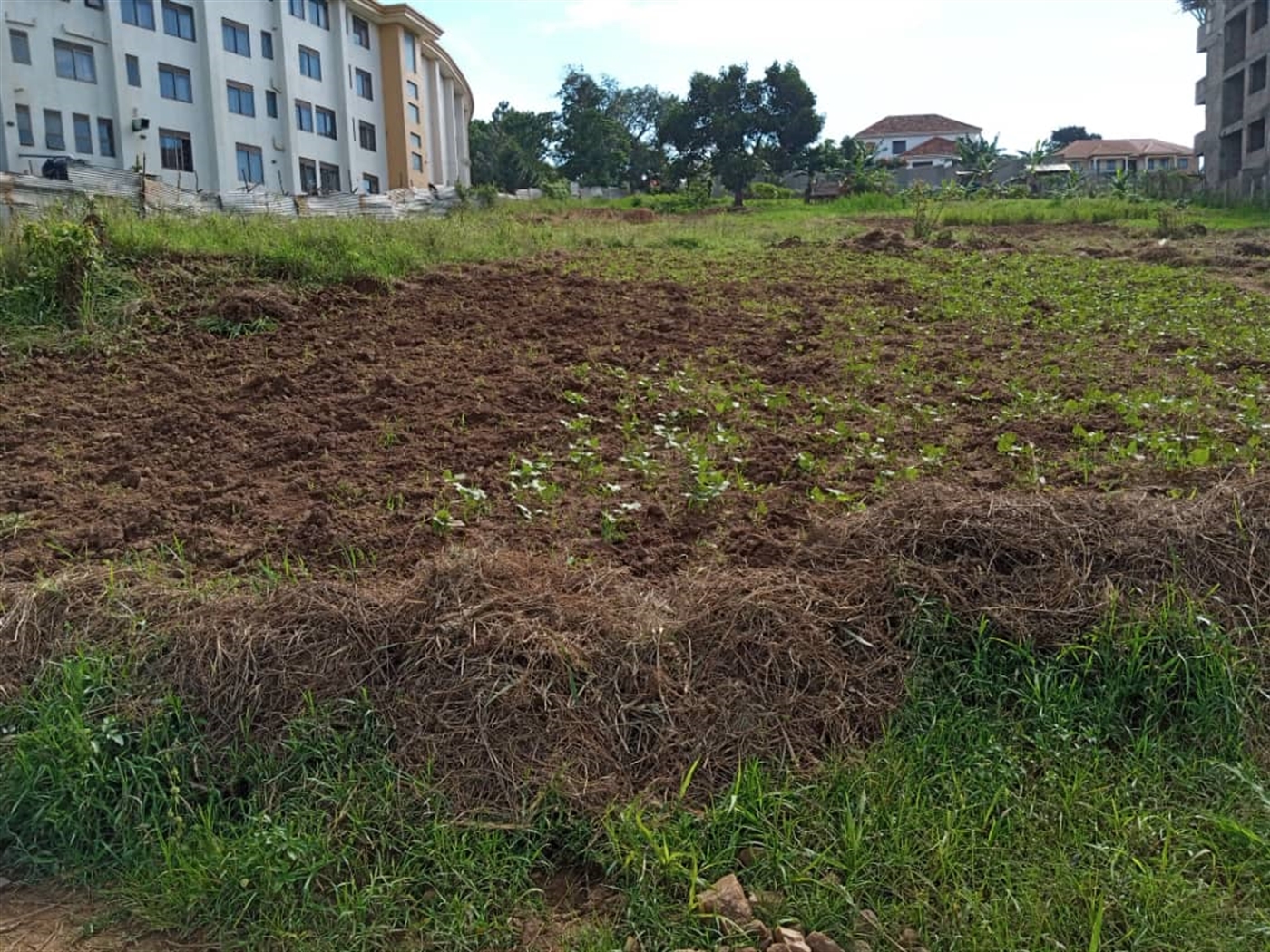 Residential Land for sale in Munyonyo Kampala