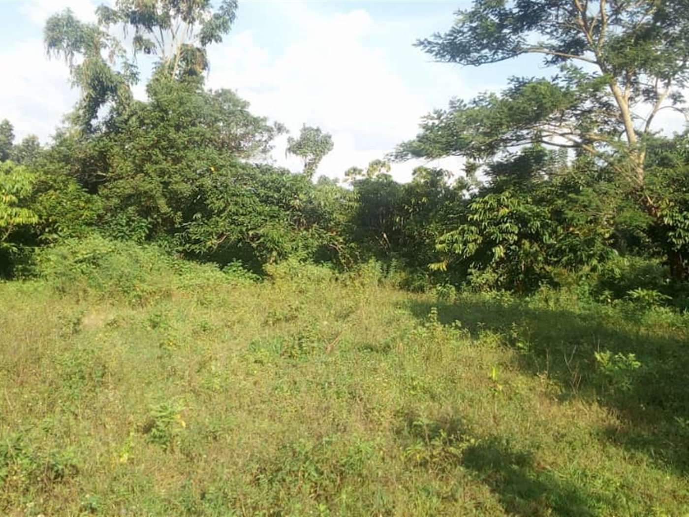 Commercial Land for sale in Bombo Kampala