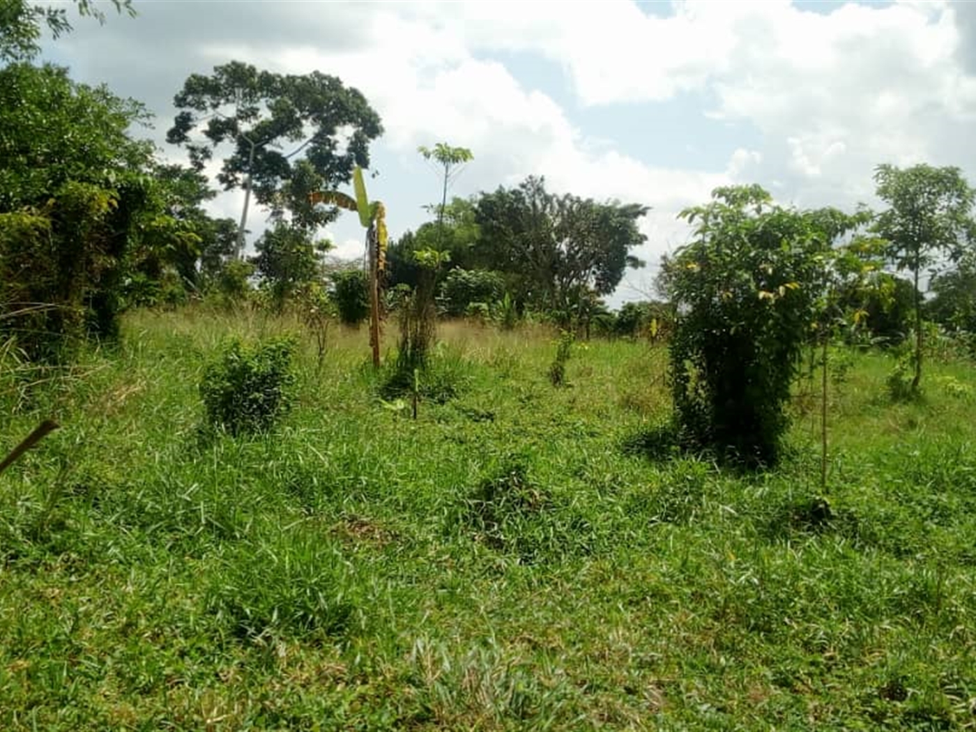 Commercial Land for sale in Bombo Kampala